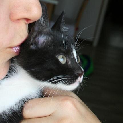 Lazyfish73's profile picture. Passionate videogamer,tv shows watcher(Game of Thrones is my fav),chocolate eater.I also love to paint my face in bright colors!