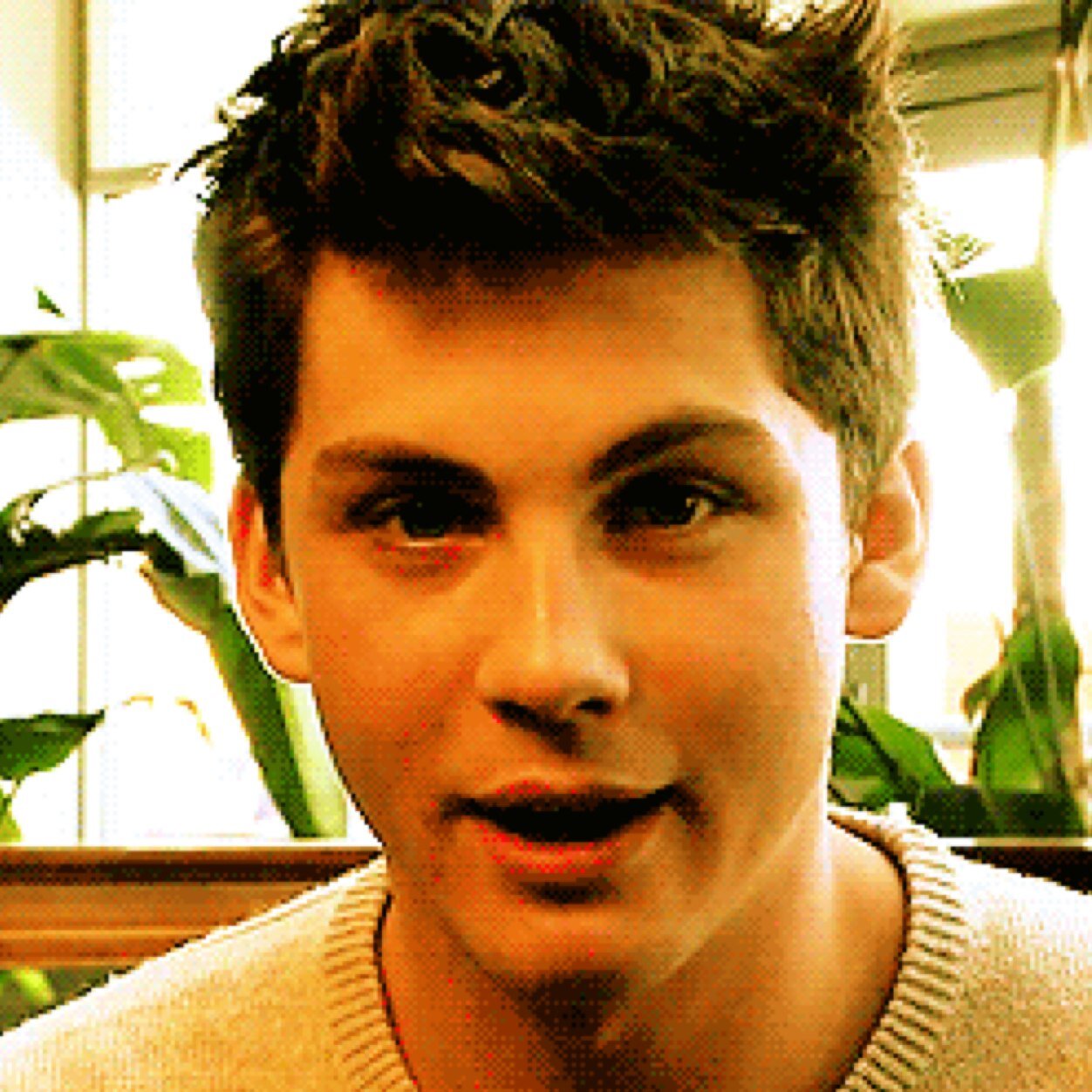 LoganGirlFan's profile picture. Your typical fan girl