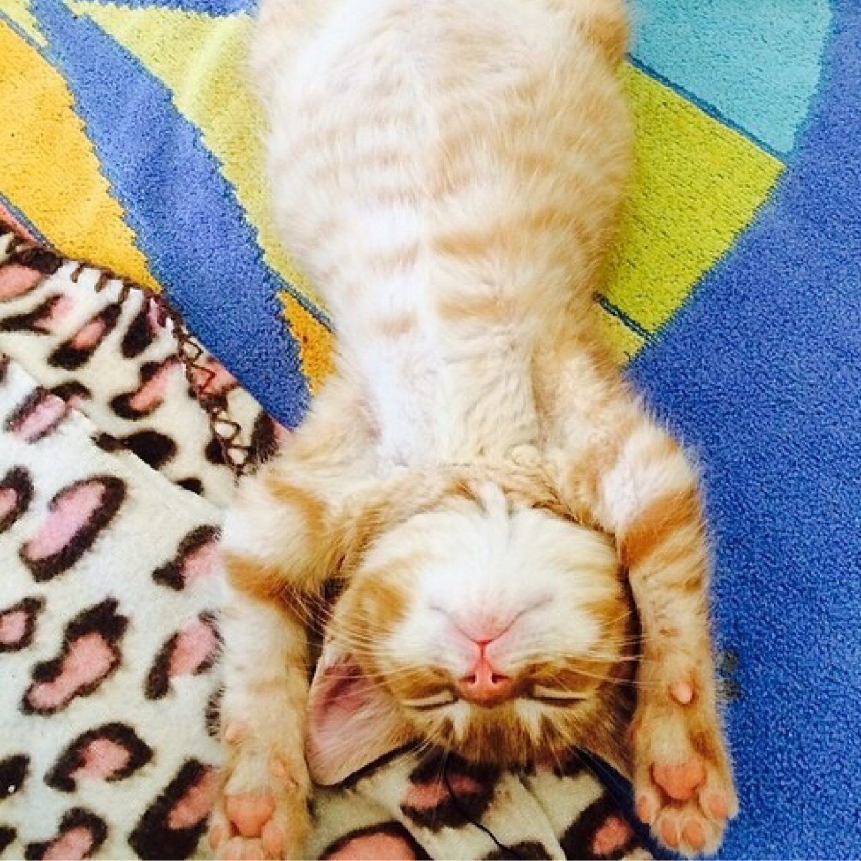 B10Byers's profile picture. Pro Surfer / Adventure Seeker