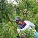 Şeyma Nur Demir (@11demir11) Twitter