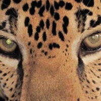Mario Alcoser♓ (@mario_alcoser) 's Twitter Profile Photo