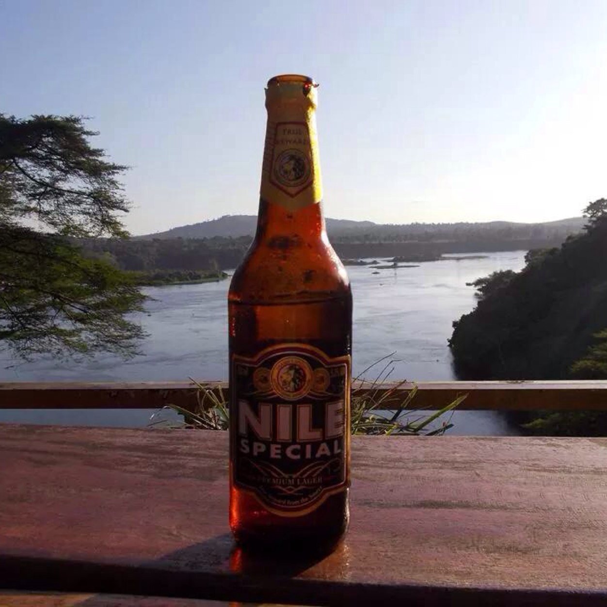 slugcarter's profile picture. Work hard and playboat  harder