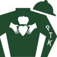 PTK LLC (@kinptk) 's Twitter Profile