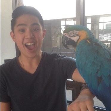 DarwinPornel's profile picture. Learn. Do. Teach.