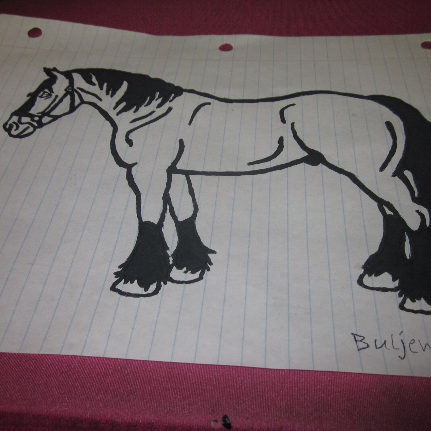 Zumba_lover_23's profile picture. 