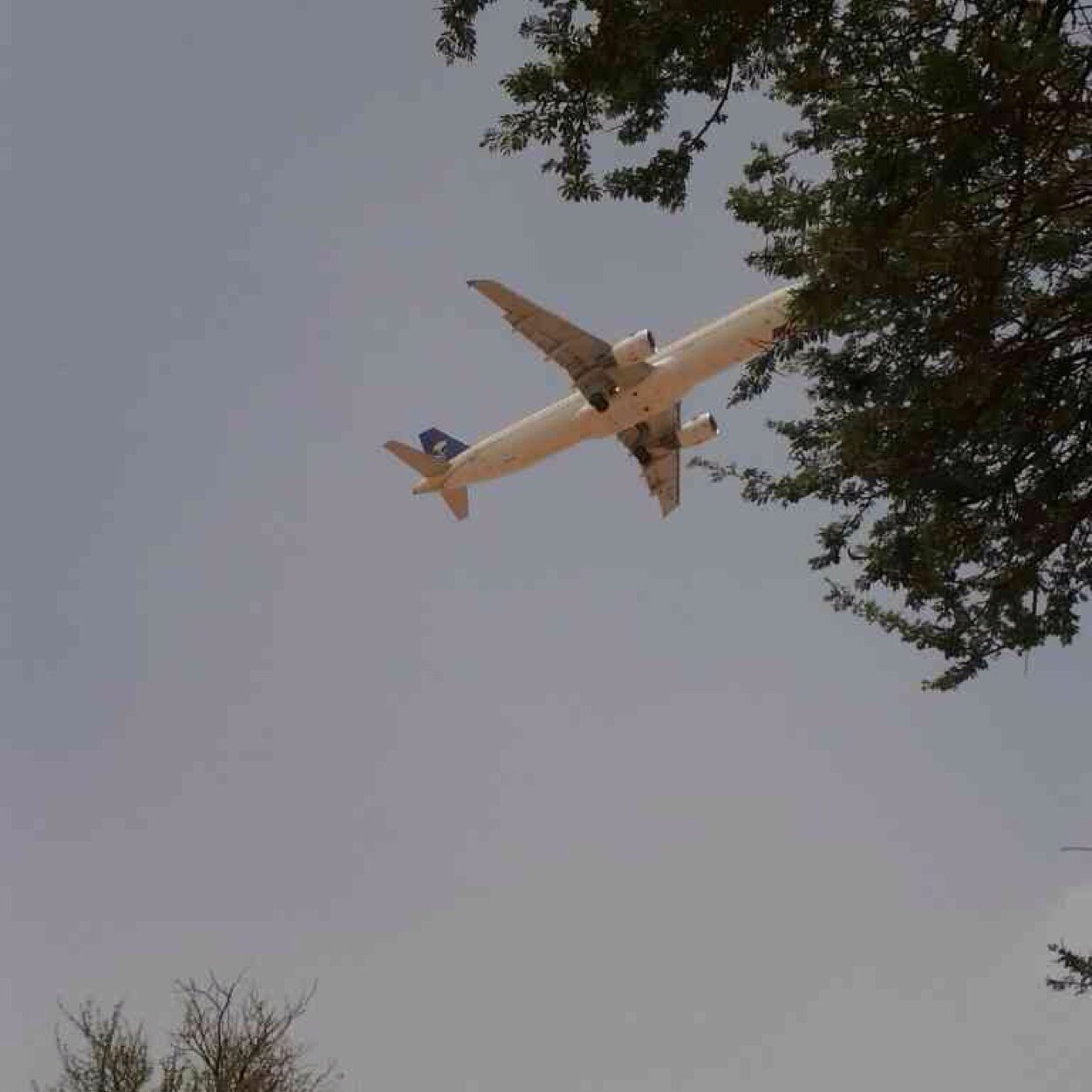 ماكل شخصٍ لا رحل اقدر انسـآه بعــض الاوادم مسكنــه فالمحانـي مثل الحبيــب الي ذبحنـي بفرقـآه في ذمتـي مانساه لو هـو نسانـي قله ريان القلادي