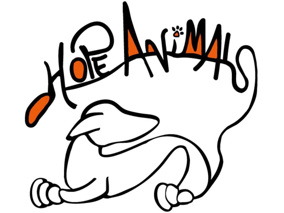 hope for animals and their world hope for animals and their world