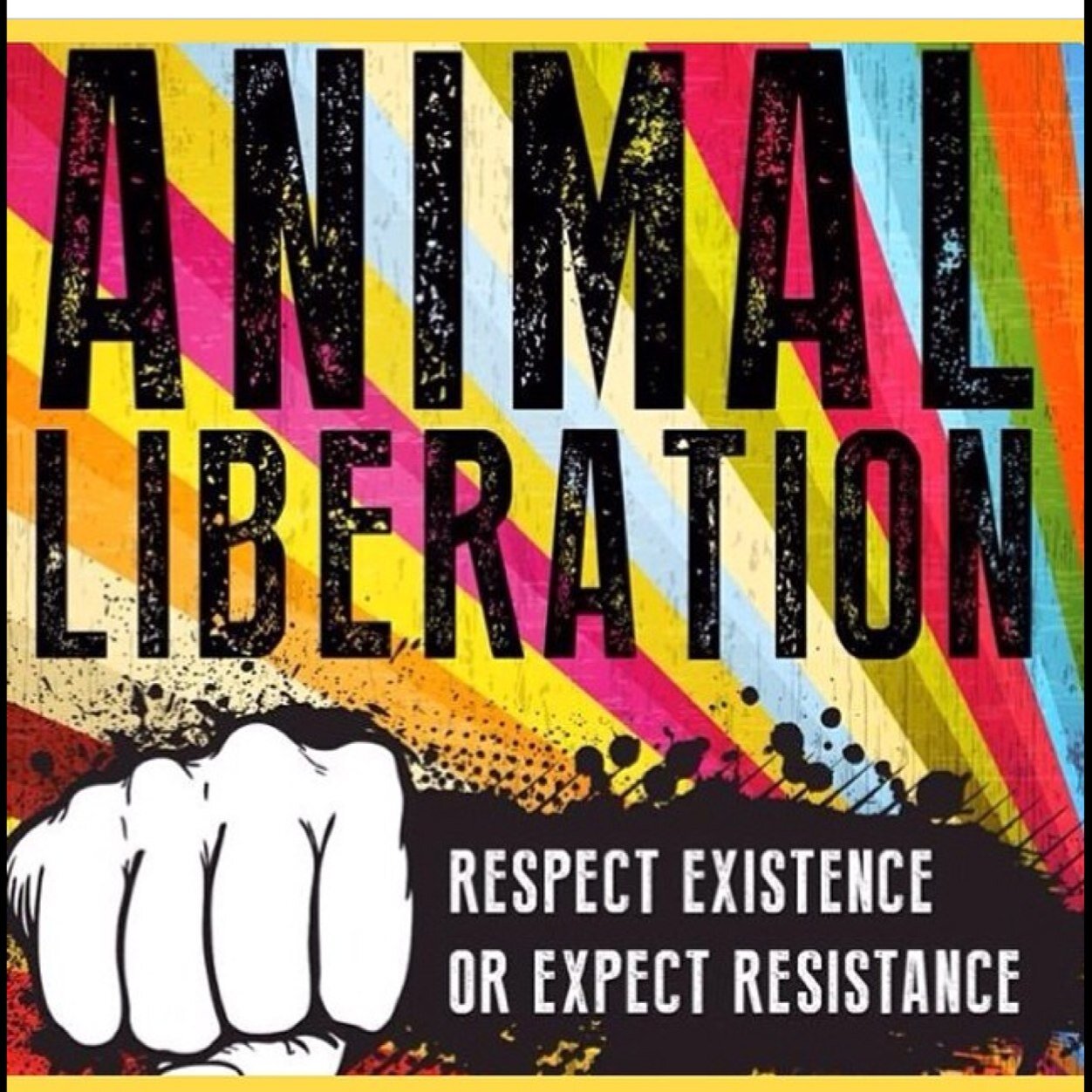 AR Vegan, All animals deserves to live long happy lives. Be the change U want to see in the world. #GoVegan let me know if U r Vegan/ARA i'll follow U back ;)