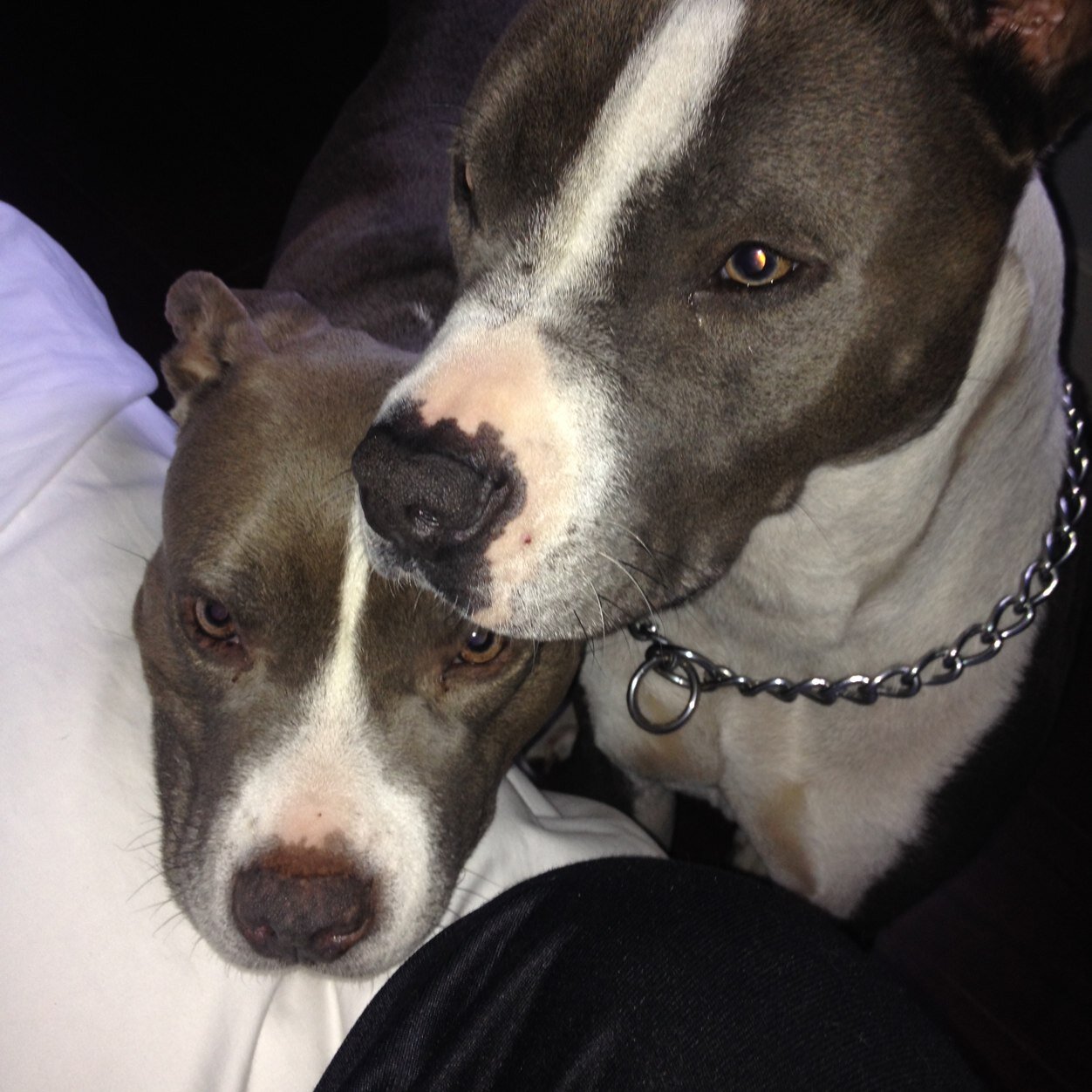 mbitton123's profile picture. 