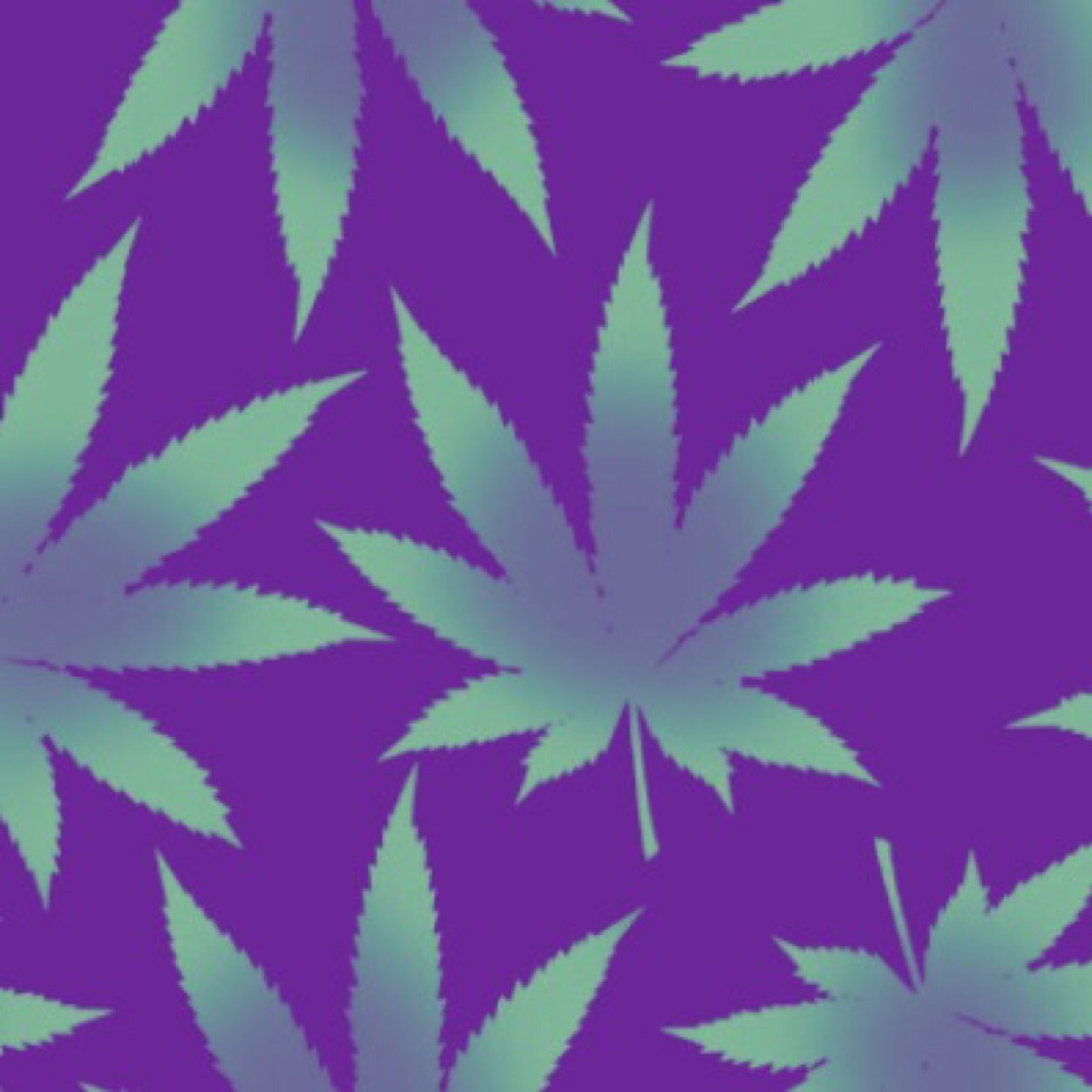 Weedhiders's profile picture. 