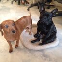 Darwin & Pierce - @DarwinandPierce - Twitter