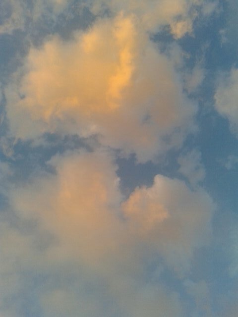 wsaas322112's profile picture. 