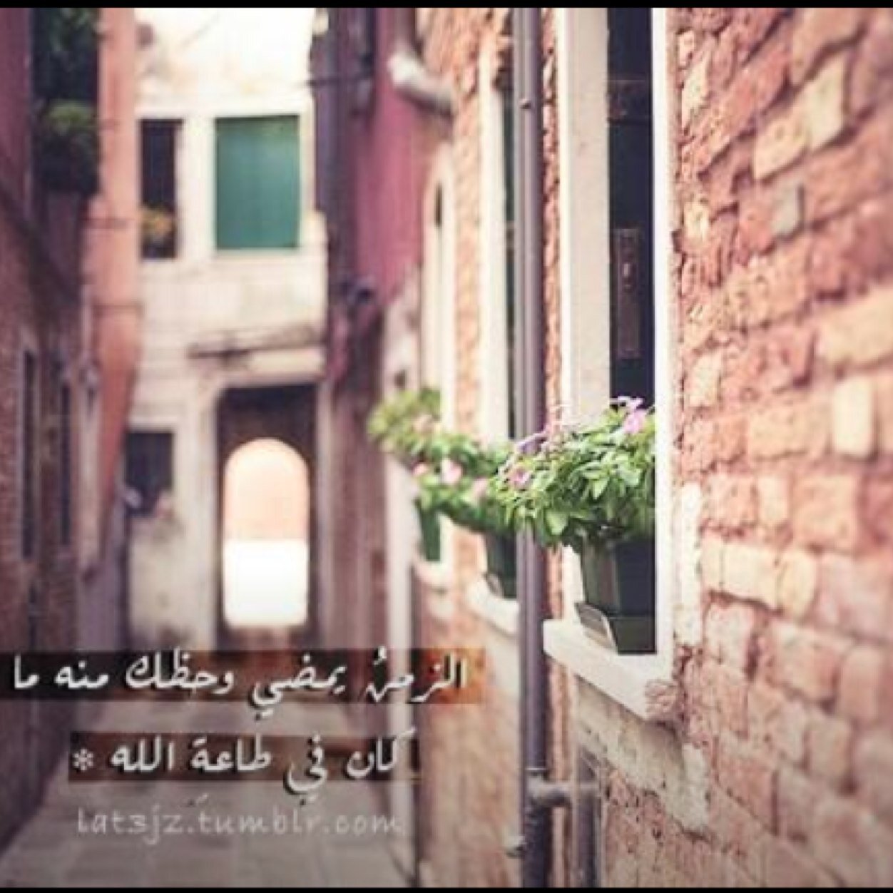 الحمدلله وسبحان الله ولا إله إلاالله اللهم اغفر لي ولوالدي وللمسلمين والمسلمات والمؤمنين والمؤمنات الأحياء منهم والأموات
