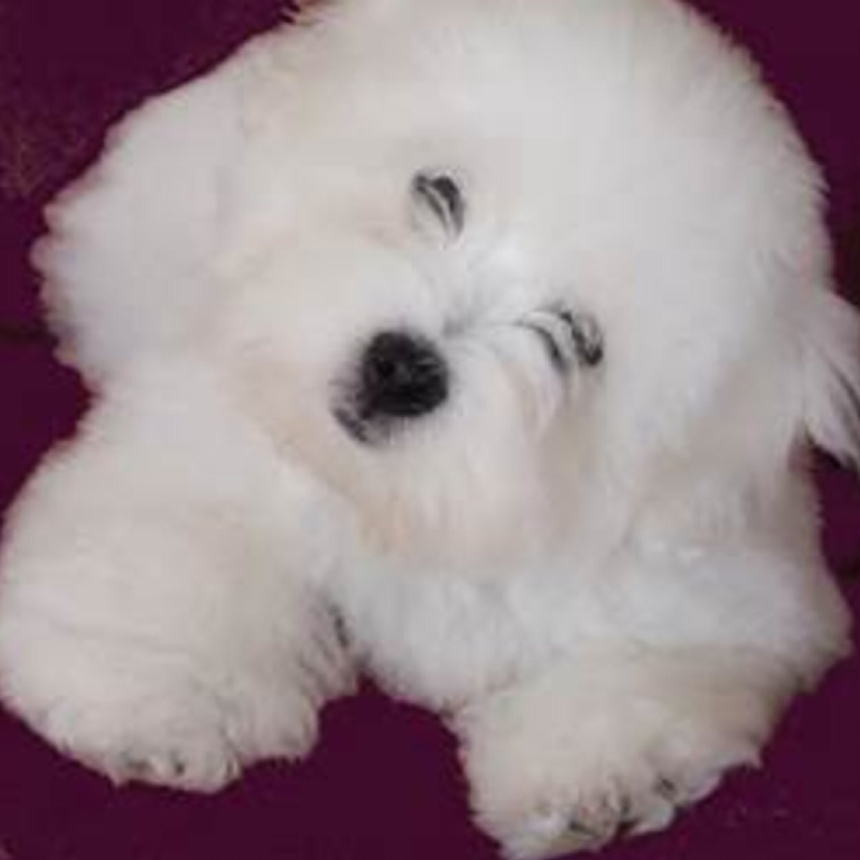 MargoMbethurem's profile picture. 