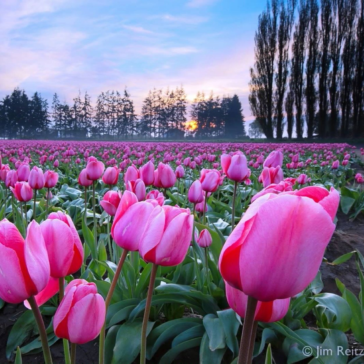 Ania0782's profile picture. 