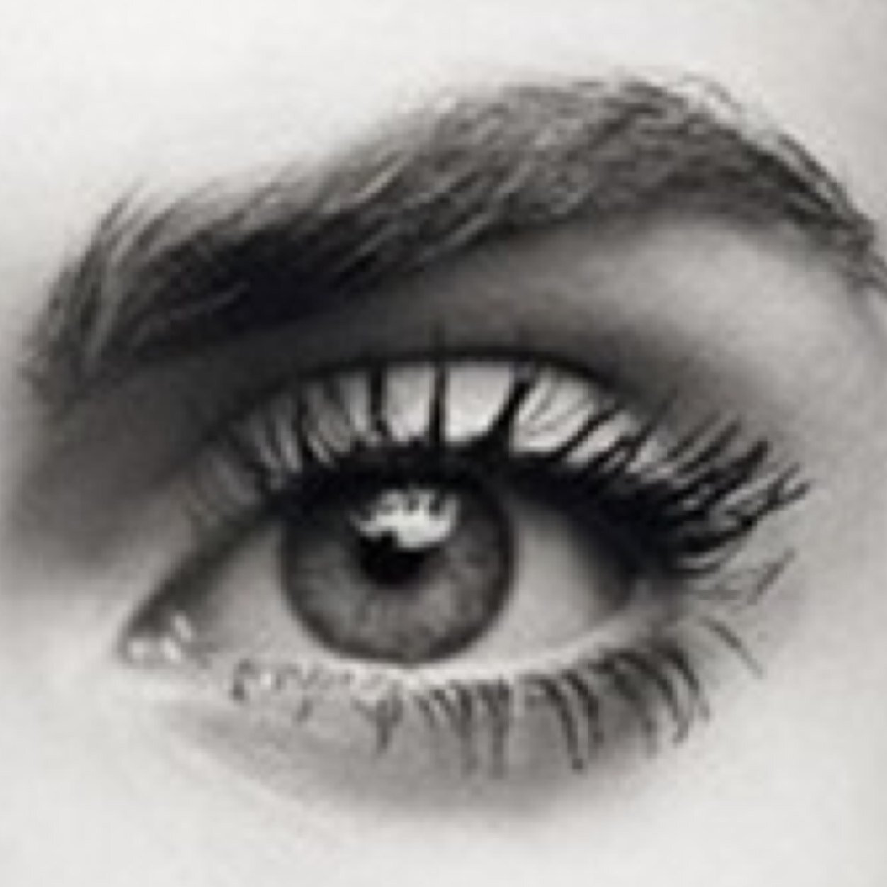 De cejofílicos sobre cejas para con los cejafiliados a esta cuenta, no apto para cejofóbicos.