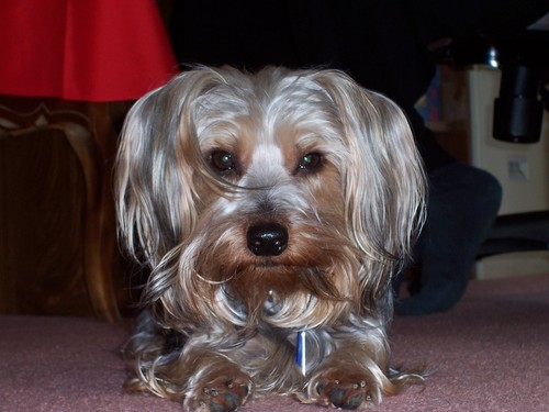 w8_4God's profile picture. https://t.co/CzV5icLkHS has changed my life for the better!