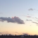 david bateson - @DavidDndjdn - Twitter