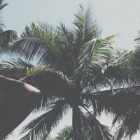 . (@brokenparadisee) 's Twitter Profile