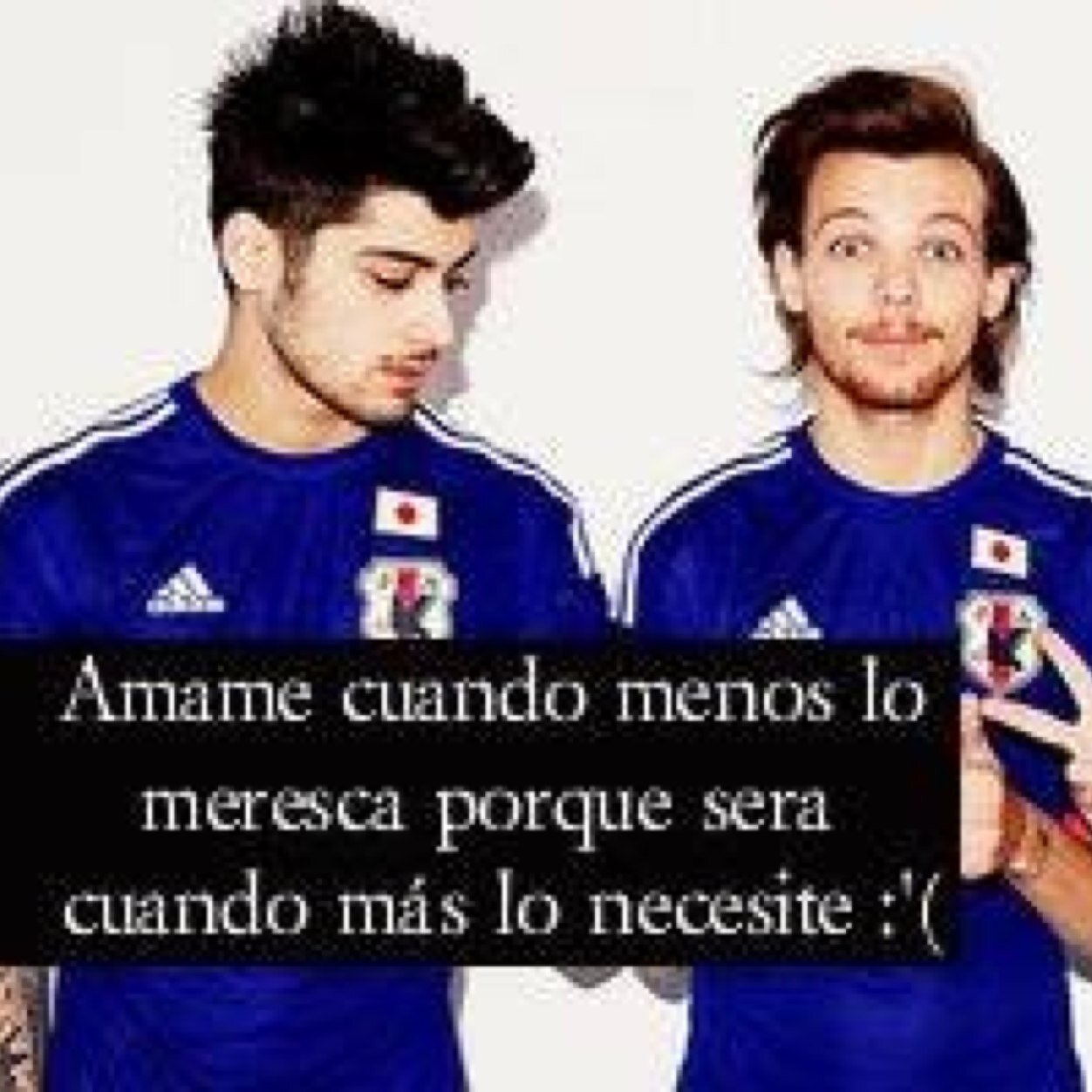 I am the head in love liam,louis,niall,harry y zayn and head of the directioners