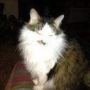 Mickie Brown - @MarahBrown - Twitter