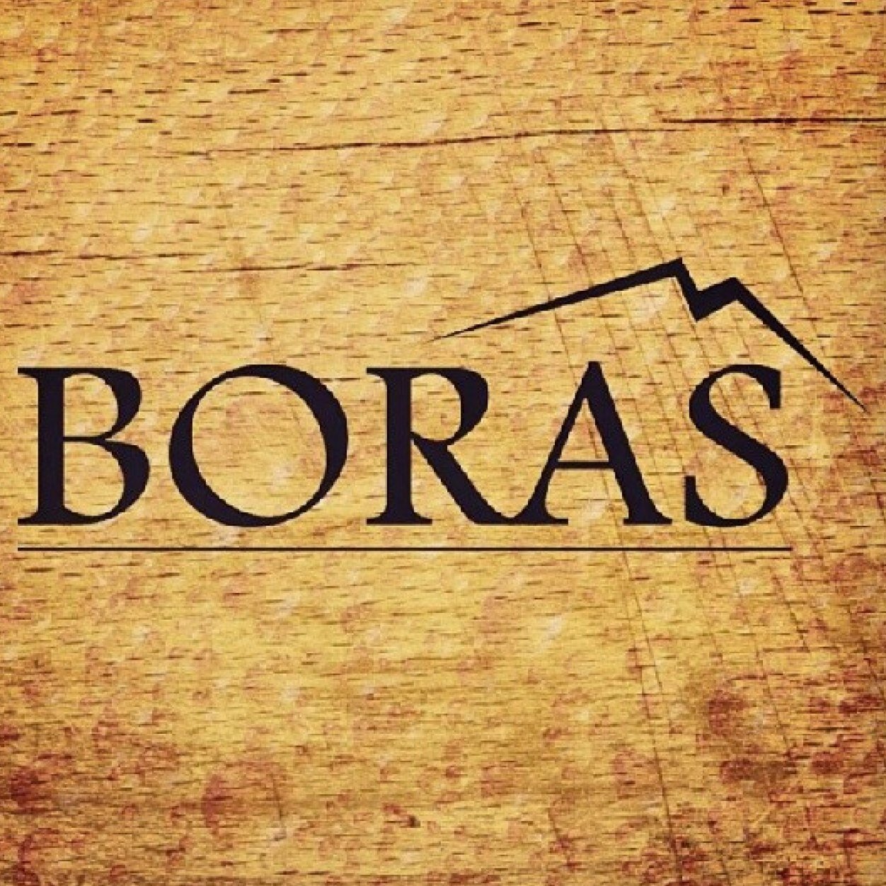 CervezasBoras's profile picture. Primer almacén destinado sólo a la cerveza artesanal de la Patagonia: El Bolsón, Bariloche, Lago Puelo, El Hoyo, Ushuaia, Esquel, La Angostura, Epuyén y más...