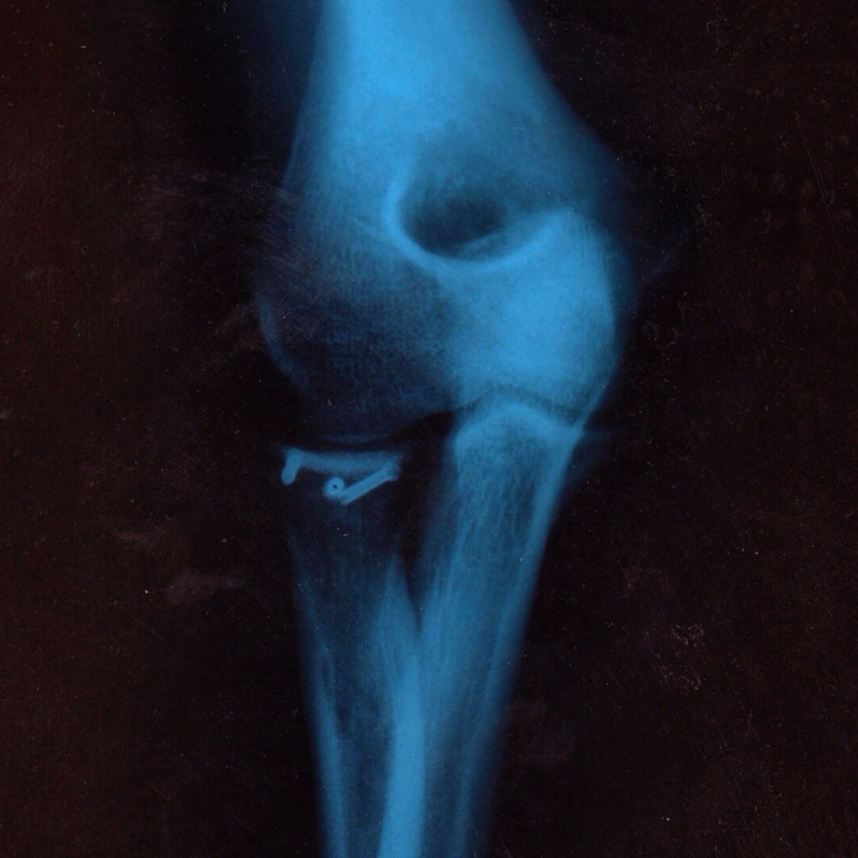 rodrigolealh's profile picture. 