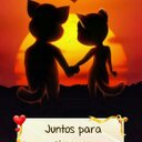 Blanca Lazcano (@005150e9e7884e5) Twitter