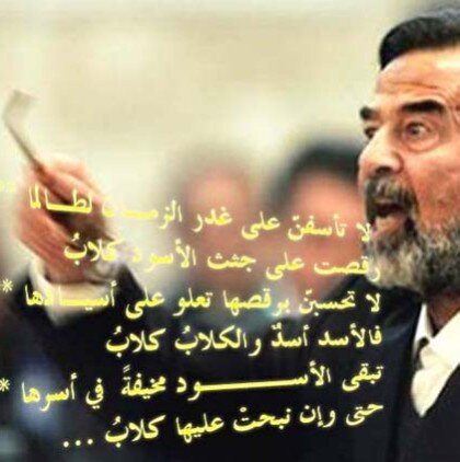 خذ من الصقر ثلاث #عزة النفس وبعد النظر والحرية