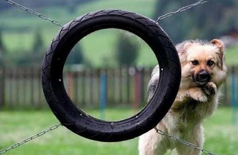 CaresseKirley's profile picture. 