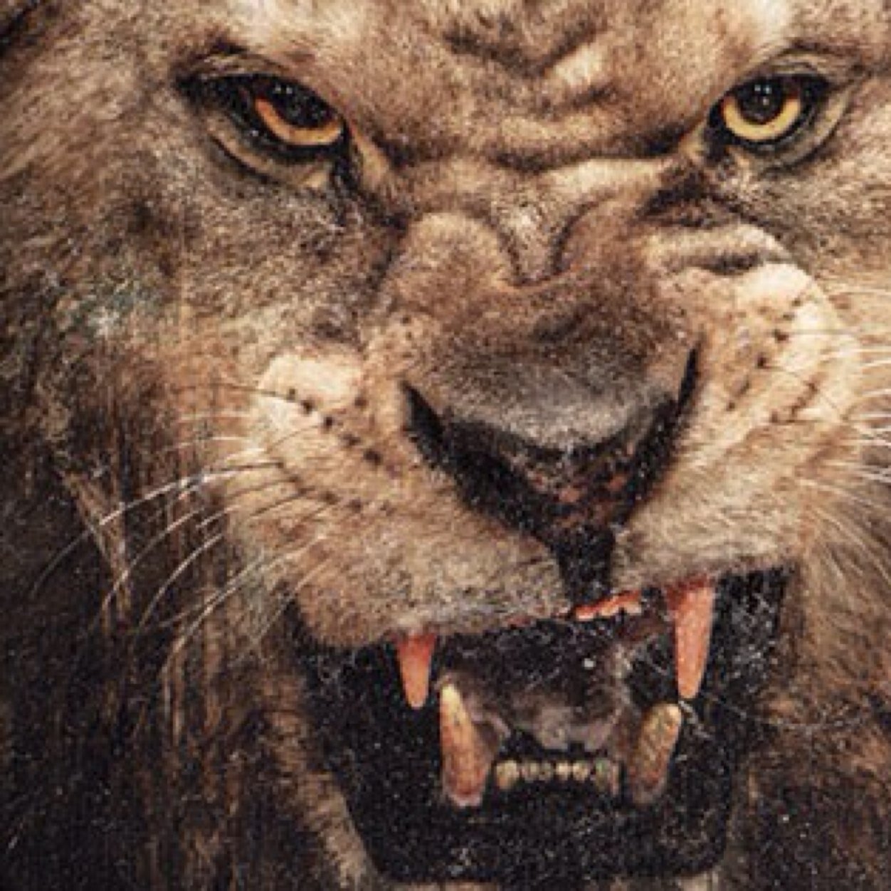 awesome0019's profile picture. 