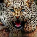 ابو خالد (@1973Ngm) Twitter
