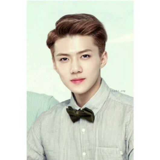 i'm maknae exo! yehet! ohorat!