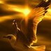 mejble mejble (@mejble2) Twitter profile photo