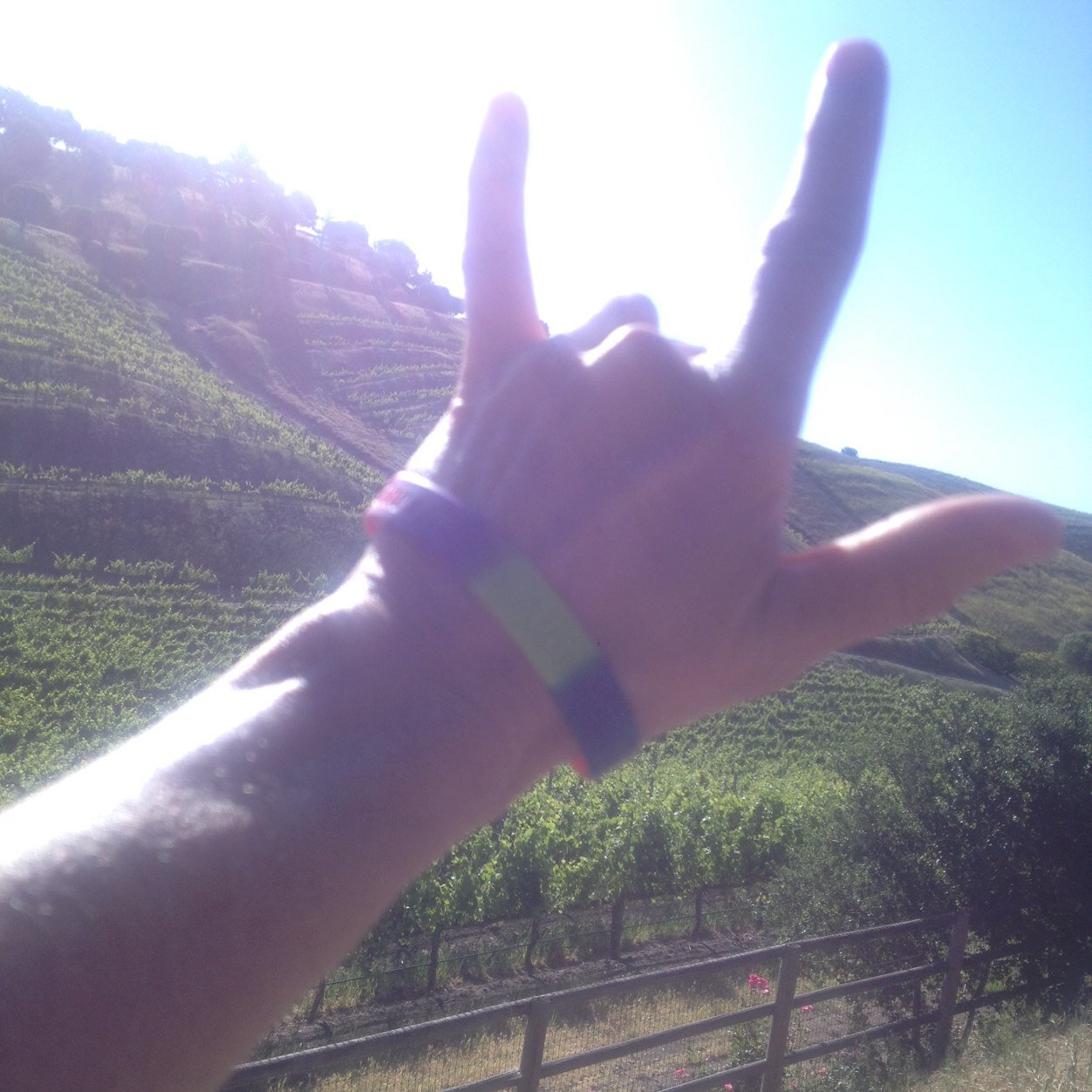 Burliegirl's profile picture. 