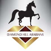DHArabians's profile picture. Home to Multi-National Champion Hucks Connection V, DHA operates as a full service breeding and training facility with quality as our number one priority.