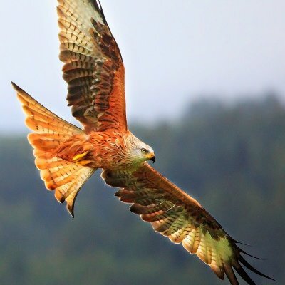 Baddrull012's profile picture. Assalamualaikum mnghargai setiap apa yg kita miliki hidup ini hanya sementara apa yg kita ada di ambilnya kembali
