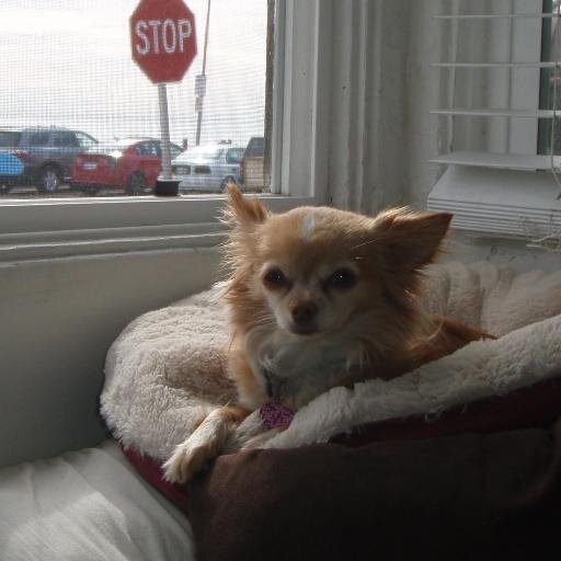 eas_surf's profile picture. 