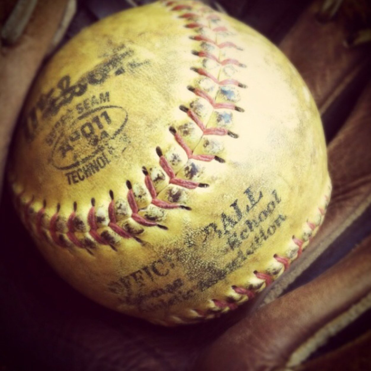 Whatever you do, work at it with all your heart, as working for the Lord, not for human masters. -Colossians 3:23