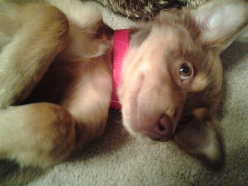 Amywaller552Amy's profile picture. Work hard play harder lol