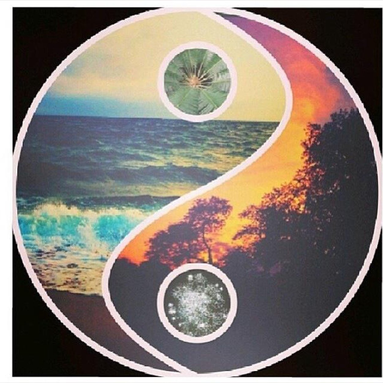 pushpagoundar's profile picture. 