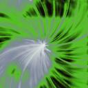 Sharon Burkhart - @blessedsharon - Twitter