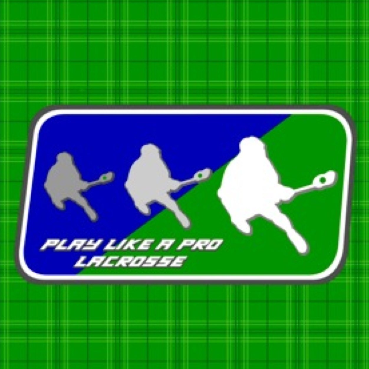 Play Like A Pro lacrosse Camps