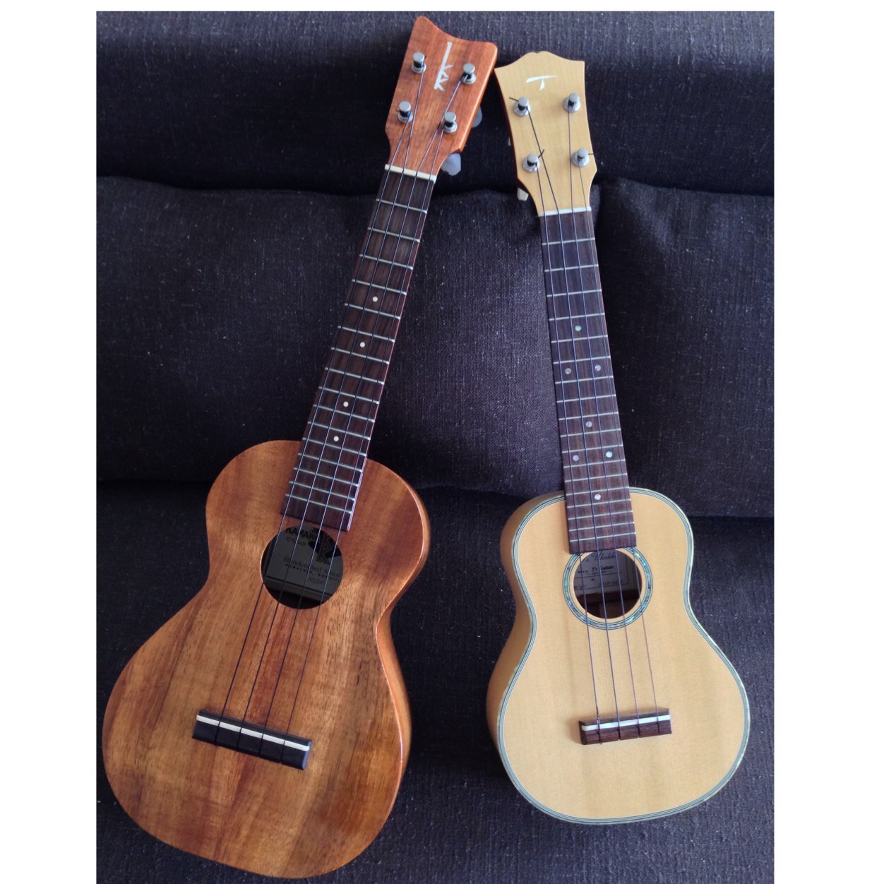 hke_taro's profile picture. 