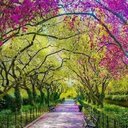 vivian Gunther - @GuntherVivian - Twitter