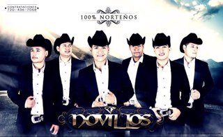 novillos2004's profile picture. 