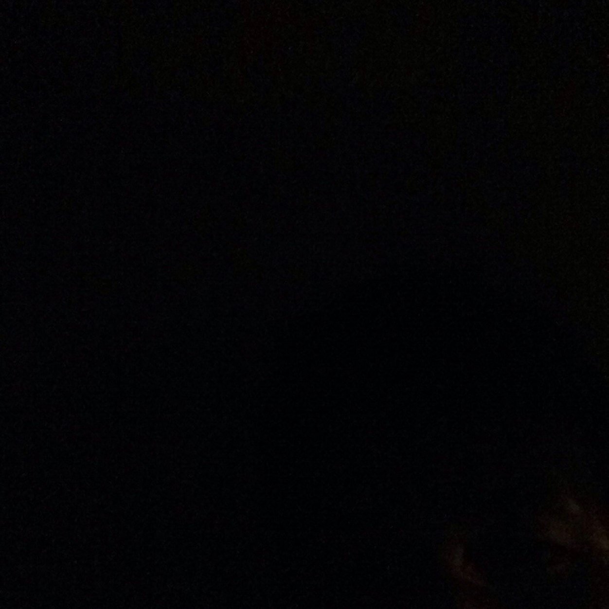 Rudrakhsus's profile picture. 