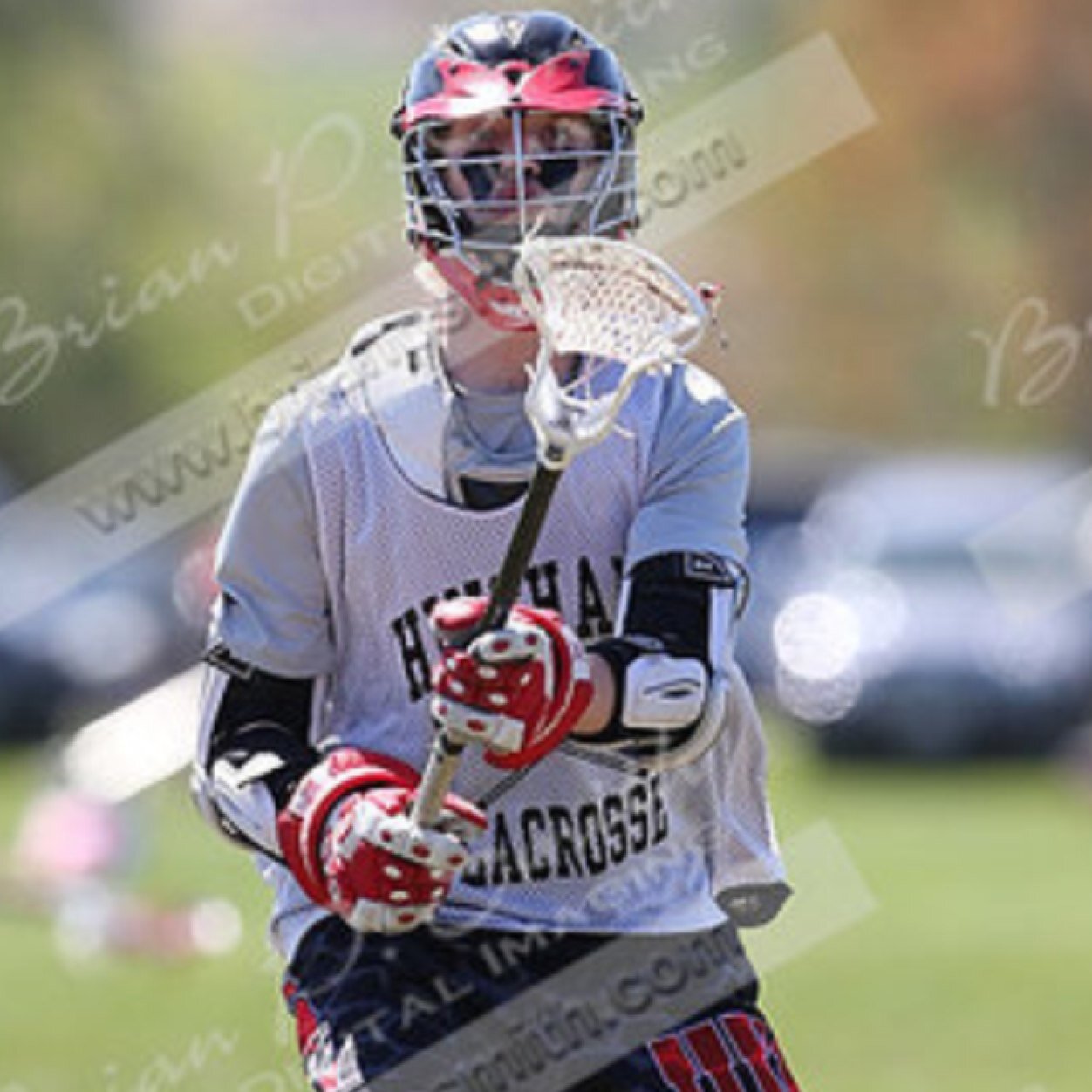 Boston Laxachusetts | Boston jr. Terriers