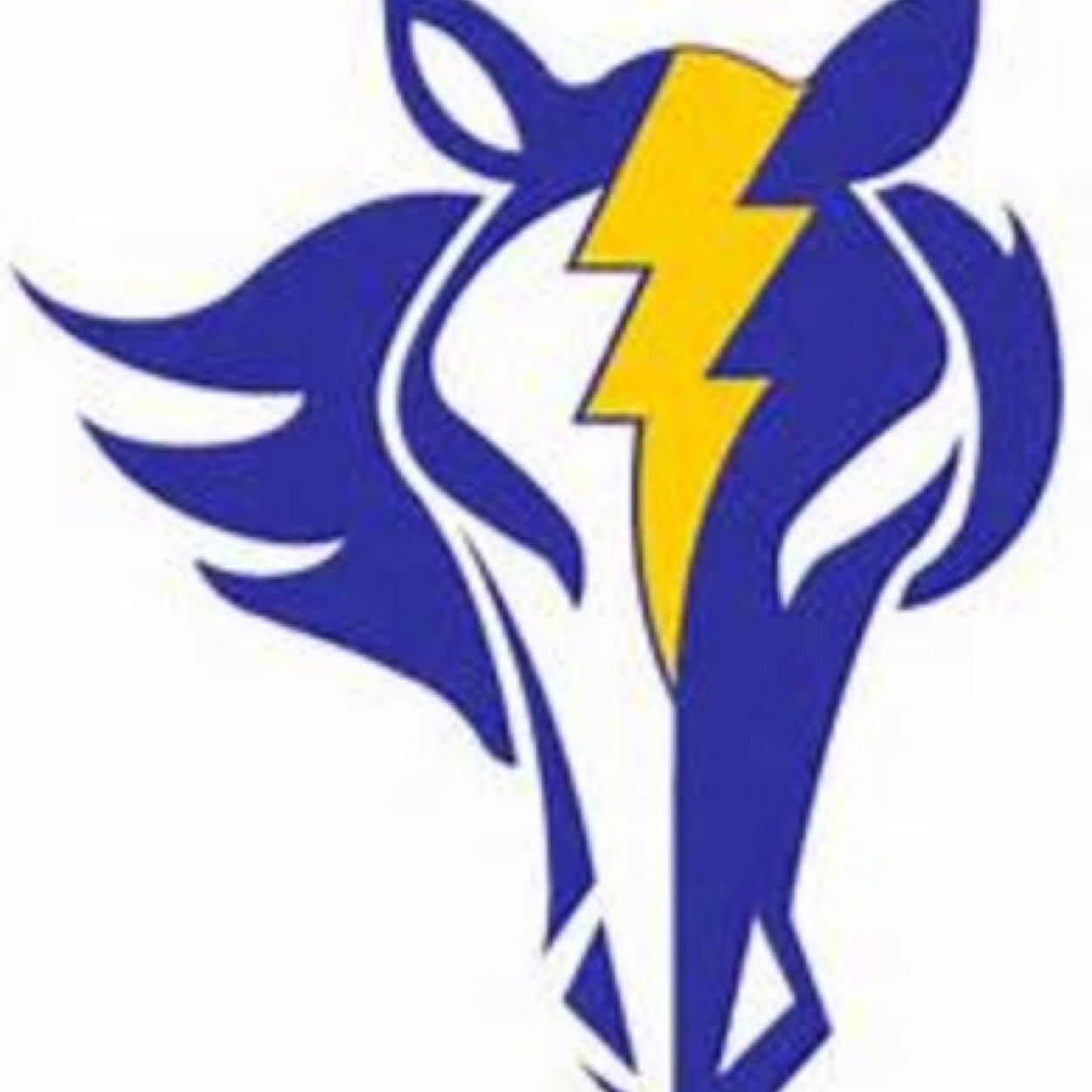 chargernation