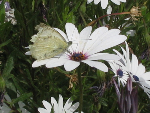 michalzw's profile picture. 